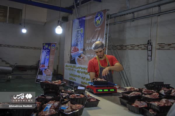 طرح نذر قربانی در فارس آغاز شد