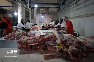 پویش نذر قربانی در استان فارس