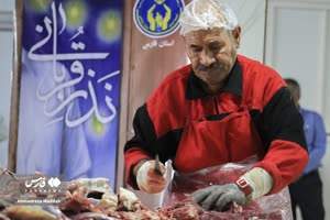 طرح نذر قربانی در فارس آغاز شد
