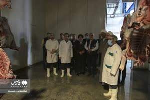 طرح نذر قربانی در فارس آغاز شد