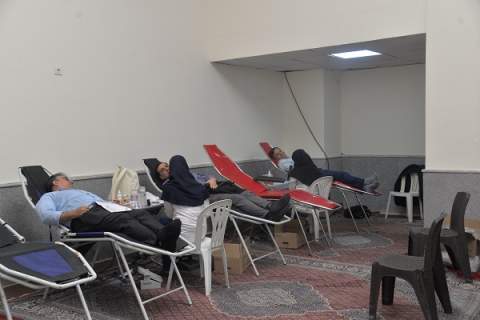 جشنواره  ورزشی کارکنان کمیته امدادامام خمینی(ره) استان فارس به مناسبت گرامیداشت هفته بسیج برگزار شد